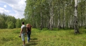 52 тысячи кубометров пиломатериалов ушло из Кировской области на экспорт